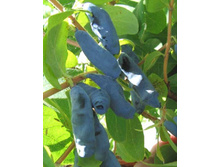 134���. ��������� ���������� �����.jpg