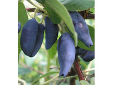 134���. ��������� ���������� �������.jpg