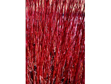 100���. ����� ����� ��������.jpg