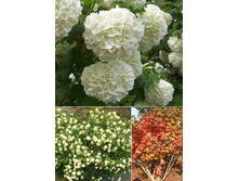 122���. ������ ������������ ������.jpg