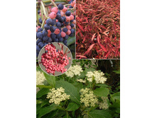 122���. ������ ���������� ���� �����.jpg