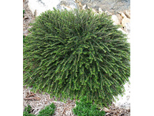 95���. ���������  ��������������.jpg