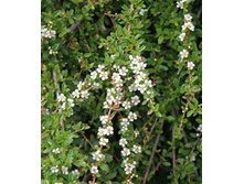 95���. ��������� �������.jpg