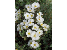 97���. �������� ������������� ���������.jpg