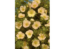 97���. �������� ������������� �������.jpg