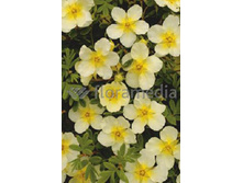 97���. �������� ������������� ��������.jpg