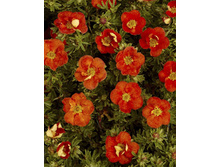 97���. �������� ������������� ��� ���.jpg