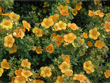 109���. �������� ������������� ����� �����.jpg