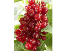 122���. ��������� ������� ������� ��� ����.jpg