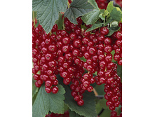 122���. ��������� ������� ������.jpg