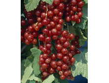 122���. ��������� ������� �����.jpg