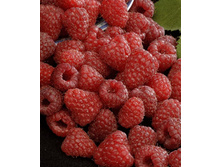 130���. ������ �����.jpg