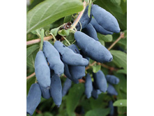 134���. ��������� ���������� ������������� �������.jpg