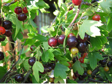 130���. ���������-������������� ������ �����.jpg