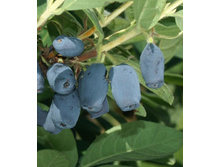 139���. ��������� ���������� ����������.jpg