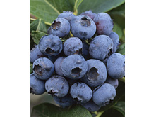 140���. �������� ���.jpg