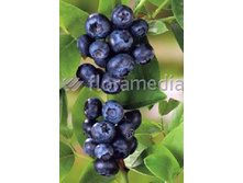 140���. �������� ����������.jpg