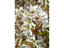 140���. ���� �������  �������.jpg