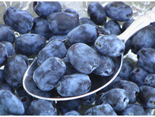 146���. ��������� ���������� ��������.jpg