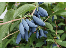 146���. ��������� ���������� �������� �������.jpg