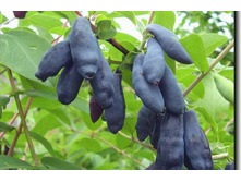 146���. ��������� ���������� ���������.jpg