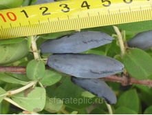 146���. ��������� ���������� ���� ��������.jpg