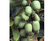 166���. ��������� ������ �����.jpg