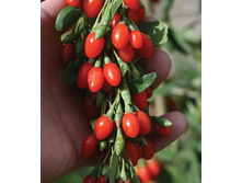 206���. ������ ������������ ��� ���.jpg