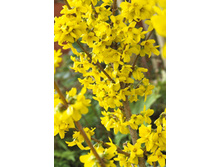 102���. �������� ������������� ����������.jpg