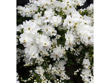 106���. ��������� ������������� �� �����.jpg