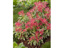 119���. ������ �������� ������� �������.jpg