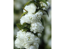 138���. ����� ���������� ����� �����.jpg