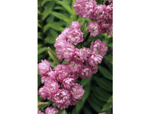 138���. ����� ���������� ����� �����.jpg