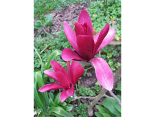 150���. �������� �ף������� ������.jpg