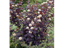 161���. ������������� ������������� �������.jpg