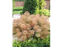 299���. ������� ���������� ��� ����.jpg