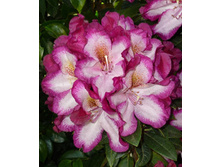 234���. ����������� ��������� ������� ������.jpg