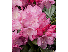 327���. ����������� ������������ �������.jpg