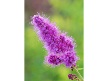 89���. ������  ��������.jpg