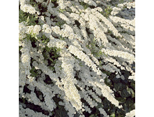 90���. ������ ��������� ��������.jpg