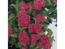 89���. ������ �������� ������.jpg