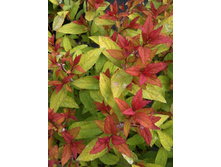 91���. ������ �������� ���������.jpg