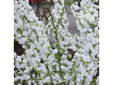 92���. ������ ���������� ���������.jpg