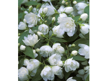 106���. �������� ����������� ������.jpg