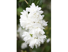 106���. �������� ���������.jpg