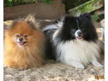 ������� 016.JPG