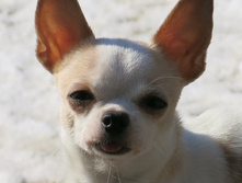 1 ������.jpg