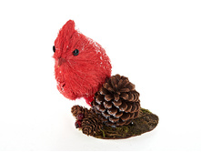 n6490007.jpg  456�