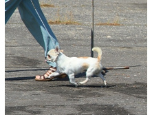 26.06 ����� 049.jpg