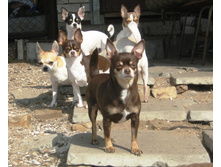 ������ �����.jpg